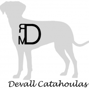 Devall Catahoulas Logo copy